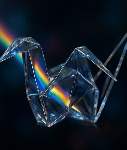 Terminologia web agency: guida PMI per decisioni digitali 2026 | The Rope Web Agency Milano | Agenzia Digitale | SEO e Siti Web