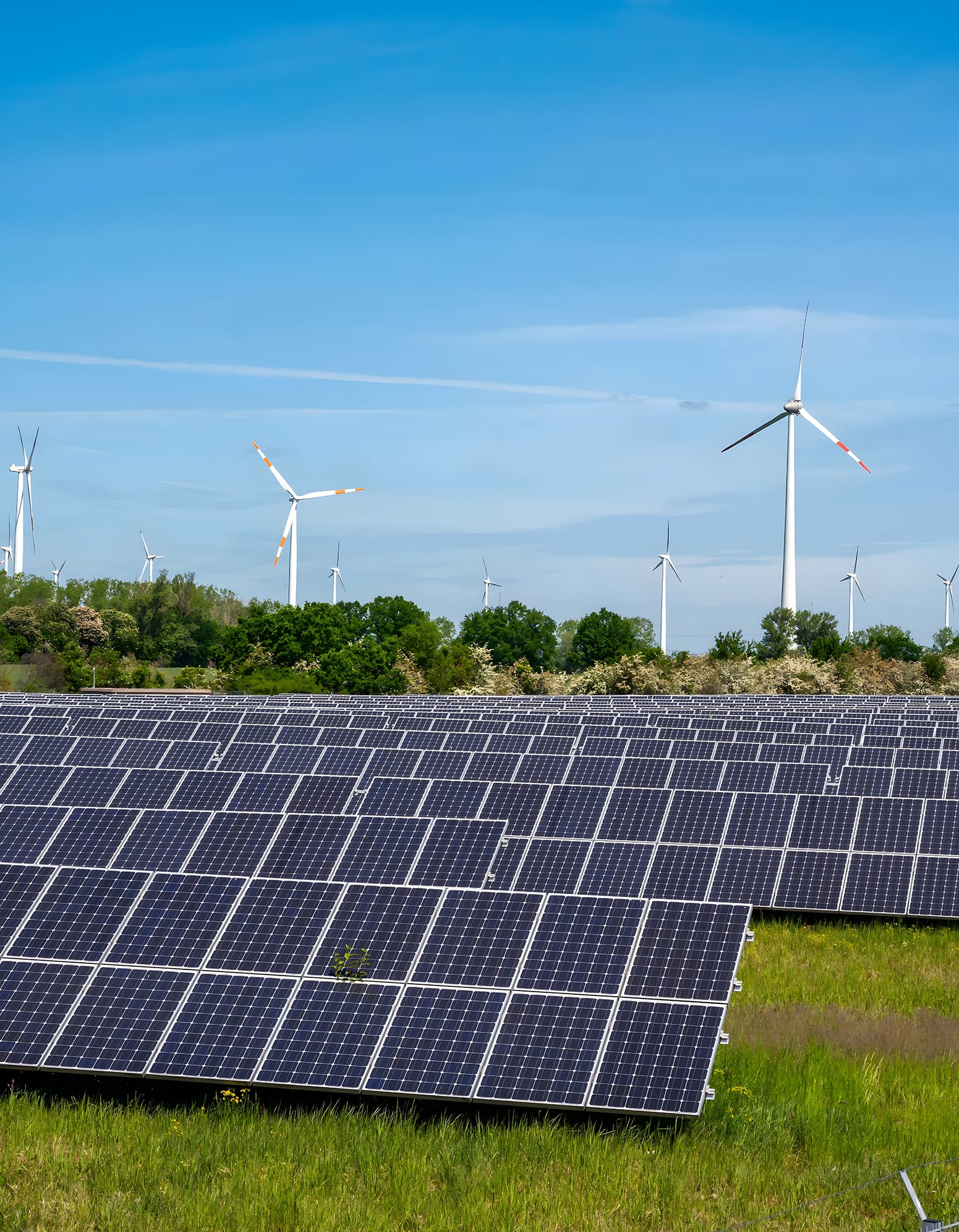 Screenshot from the website of Landing ADV