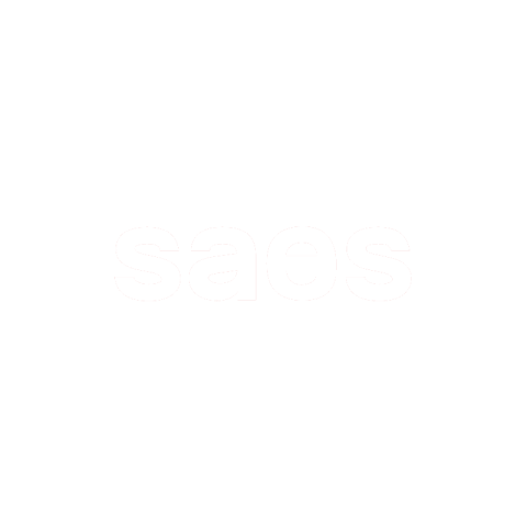 The Rope Web Agency Milano | SAES Getters Logo