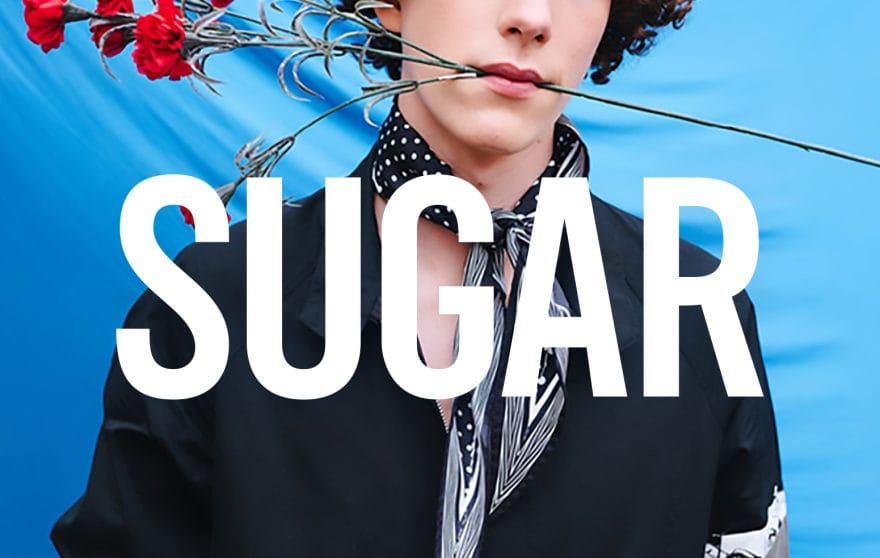 The Rope Web Agency Milano | sugar-portfolio