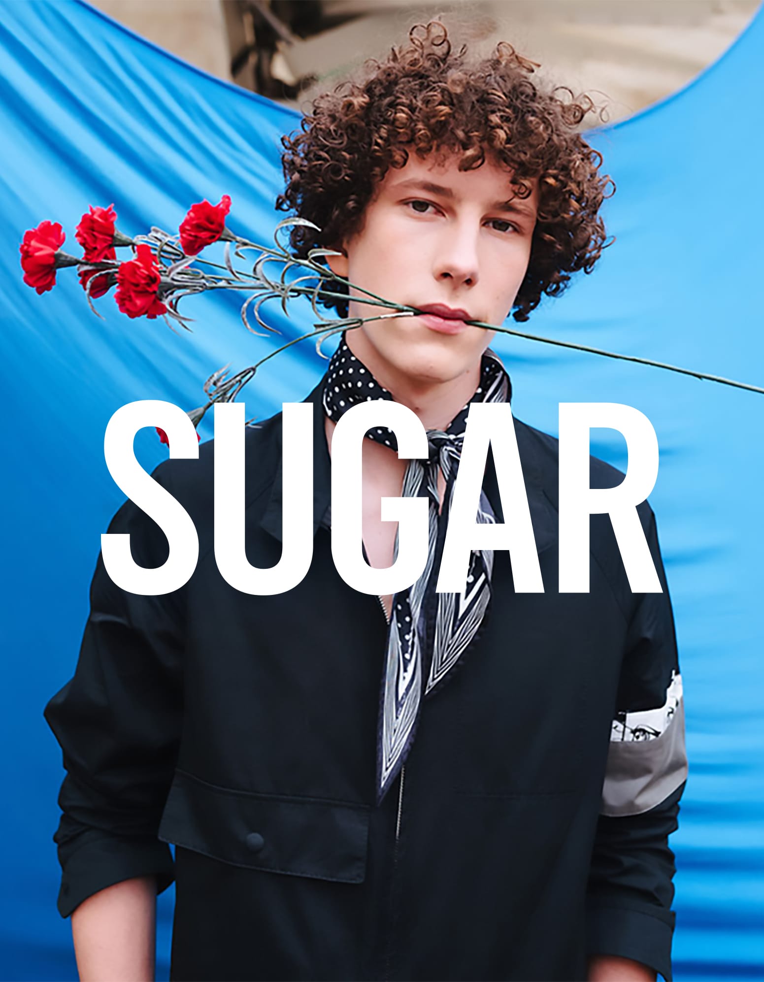 Screenshot from the website of Landing ADV