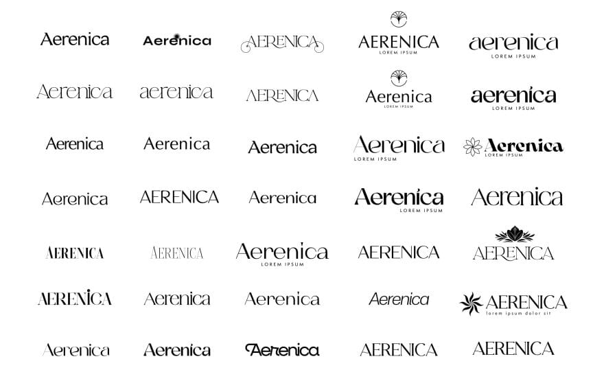 The Rope Web Agency Milano | aerenica-carousel-2