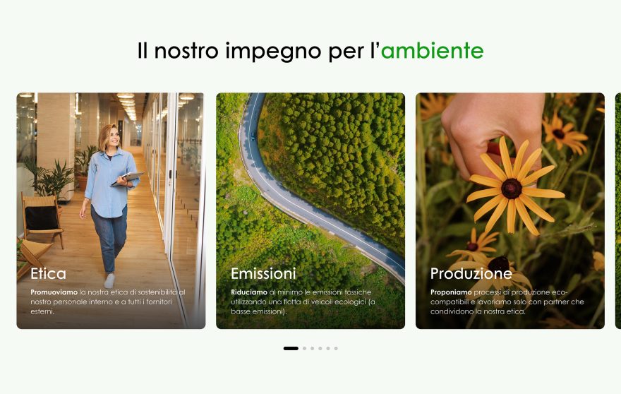 Pardgroup Gallery Picture