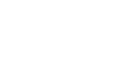 DS Automobiles | Gamma veicoli compatte cittadine e SUV | Logo Cliente Bianco Customer White