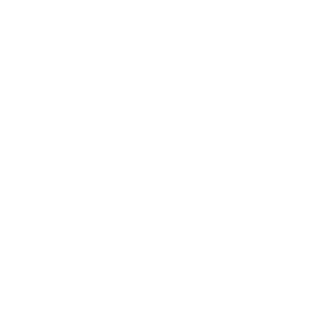 Pardgroup | Field Marketing & Global Retail Solutions | Logo Cliente Bianco Customer White