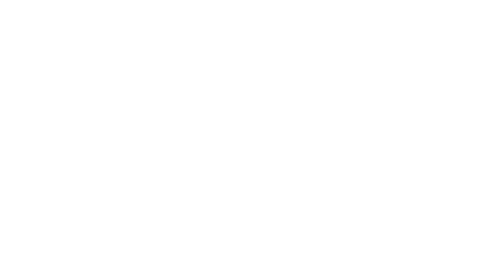 DS Automobiles | Gamma veicoli compatte cittadine e SUV | Logo Cliente Bianco Customer White