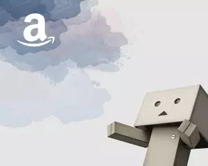 Competere contro Amazon con il proprio e-commerce
